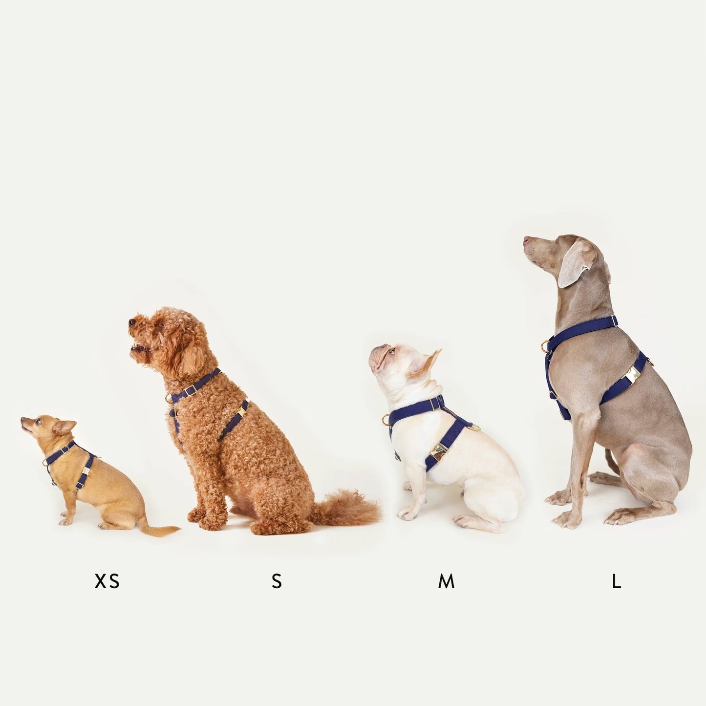 Margaux Dog Harness by The Foggy Dog