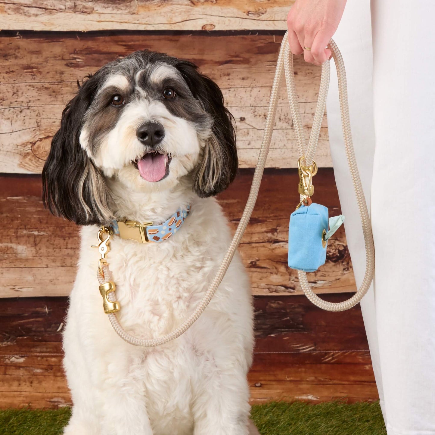 S’more to Love Dog Collar Dog Collar by The Foggy Dog