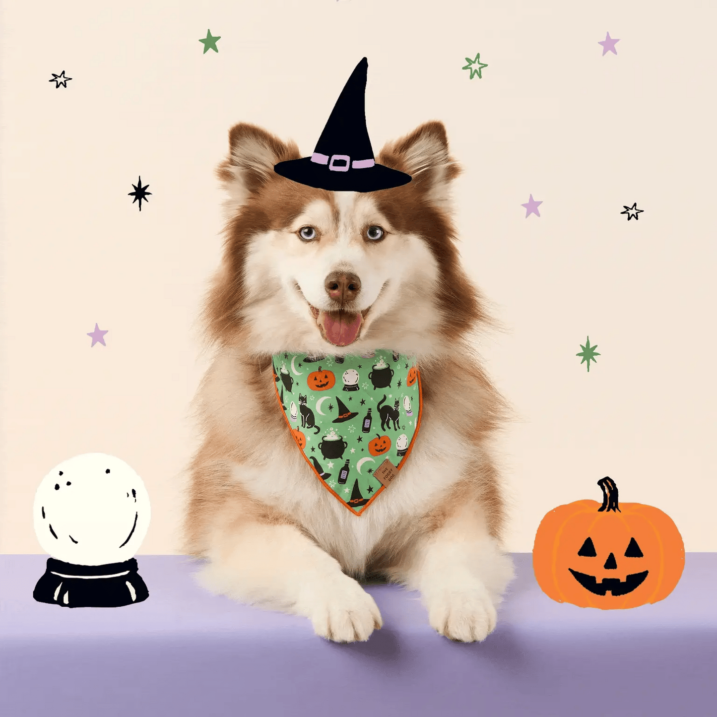 Spellbound Reversible & Glow-in-the-Dark Dog Bandana by The Foggy Dog