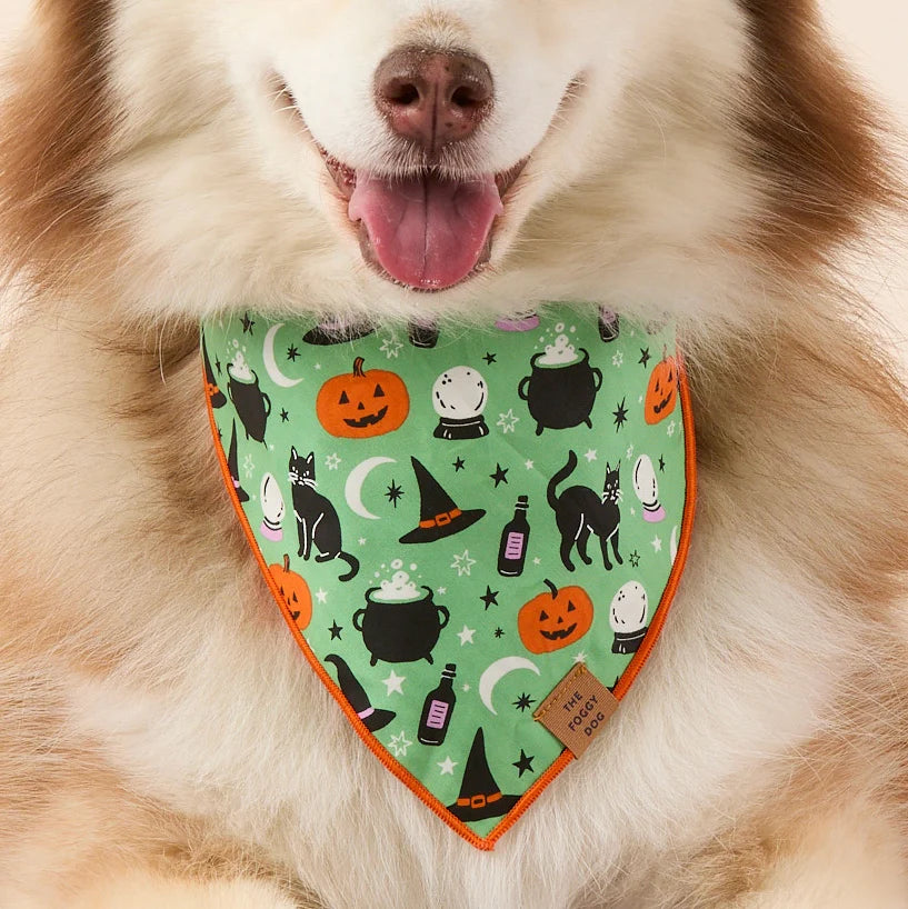 Spellbound Reversible & Glow-in-the-Dark Dog Bandana by The Foggy Dog
