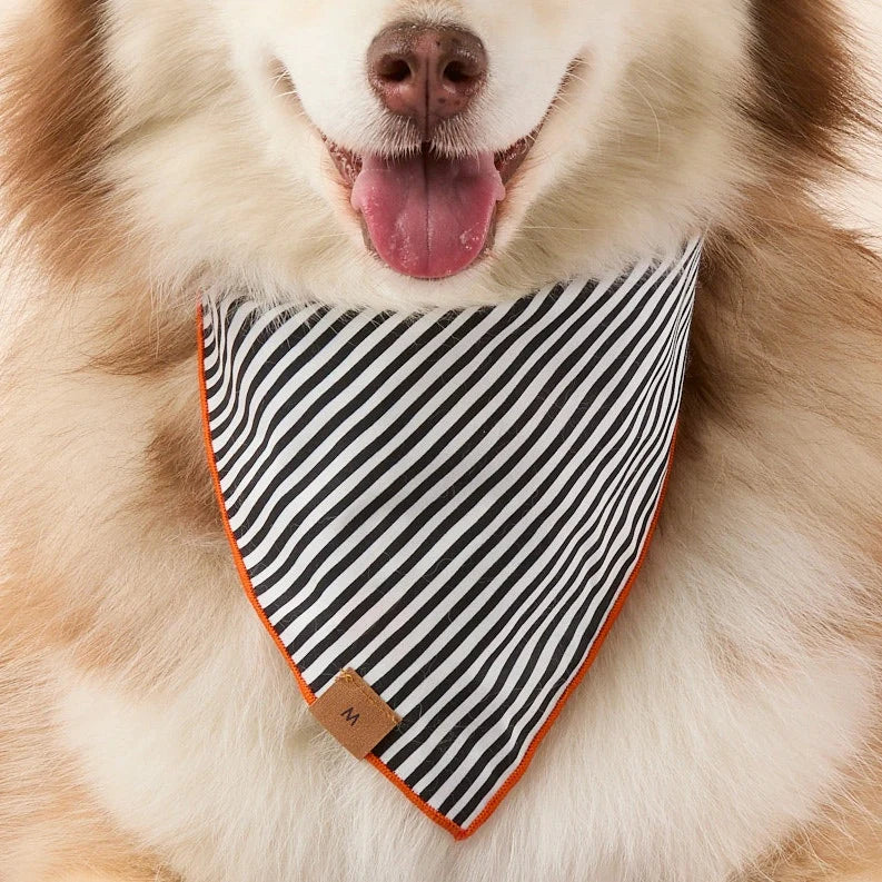 Spellbound Reversible & Glow-in-the-Dark Dog Bandana by The Foggy Dog