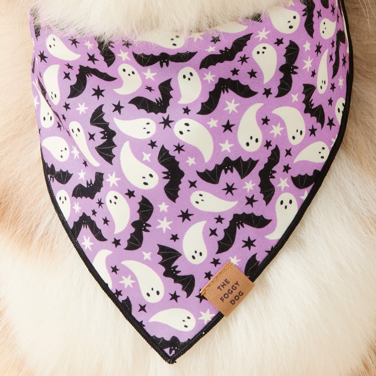 Spooky Season Reversible & Glow-in-the-Dark Dog Bandana by The Foggy Dog