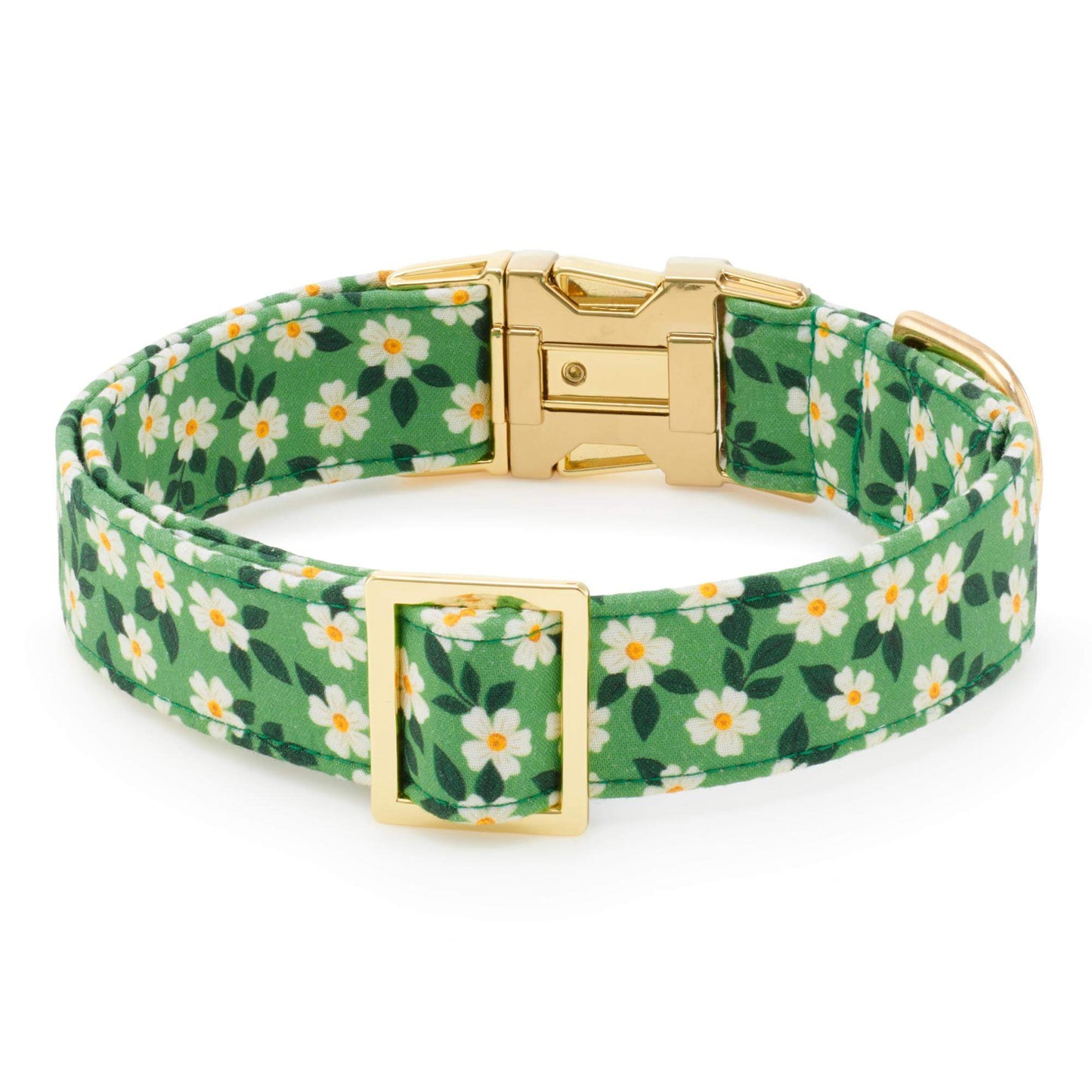 Dainty Daisies Dog Collar by The Foggy Dog