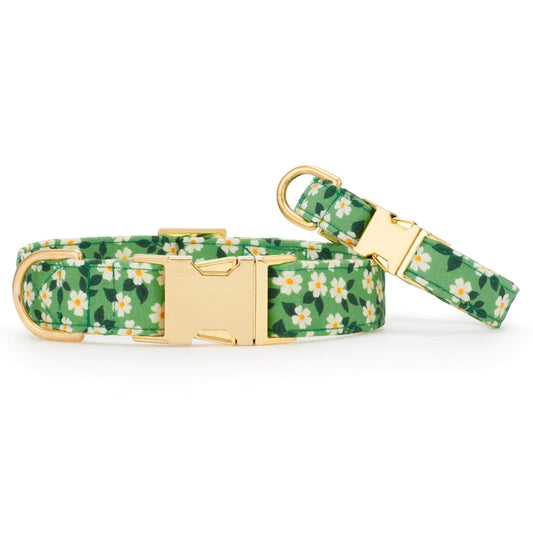 Dainty Daisies Dog Collar by The Foggy Dog