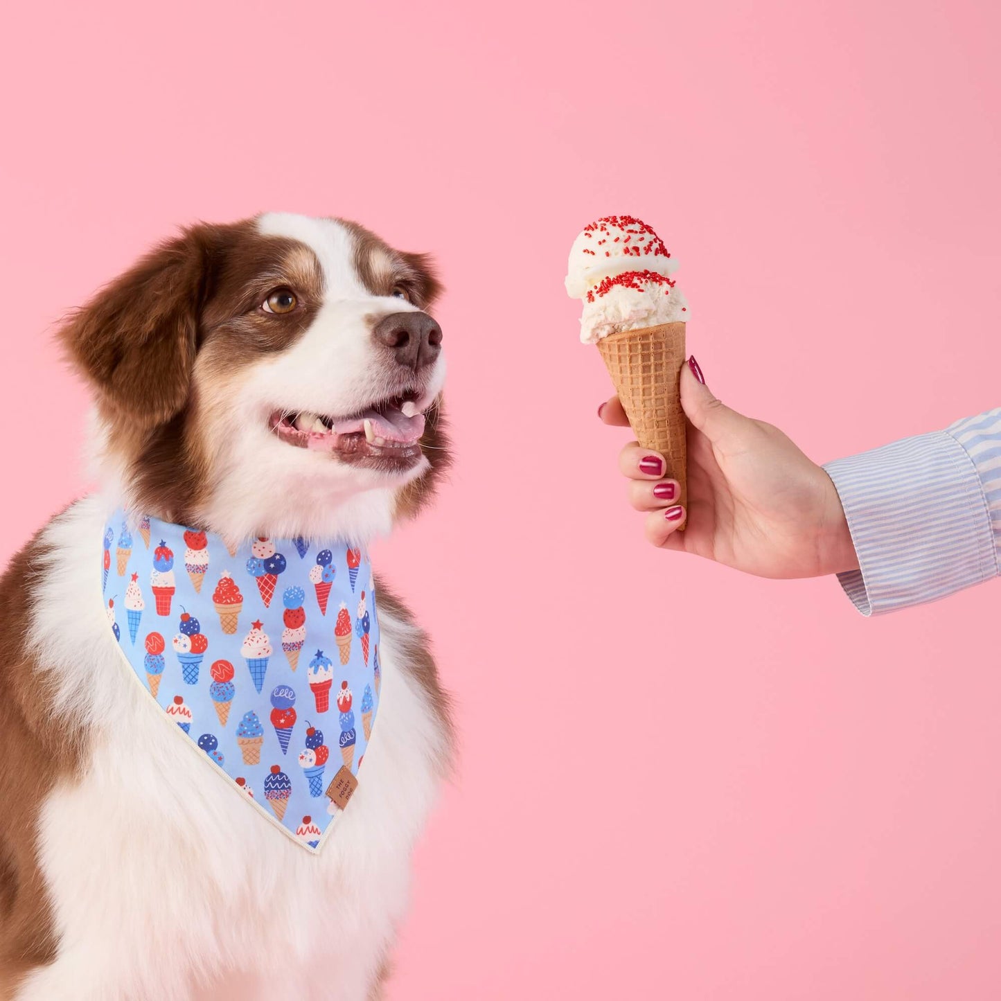 Star-Spangled Scoops Dog Bandana by The Foggy Dog