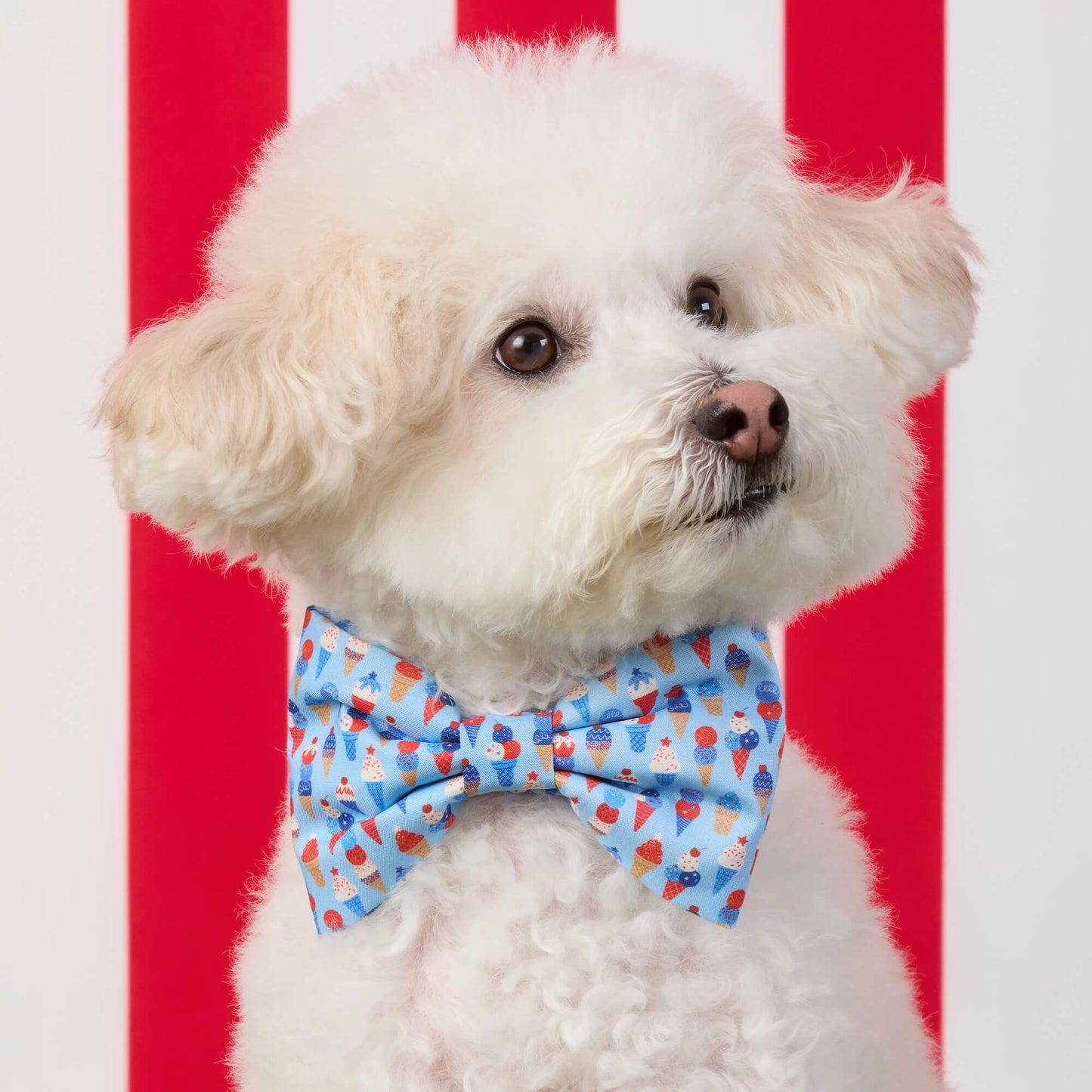 Star-Spangled Scoops Dog Bow Tie by The Foggy Dog