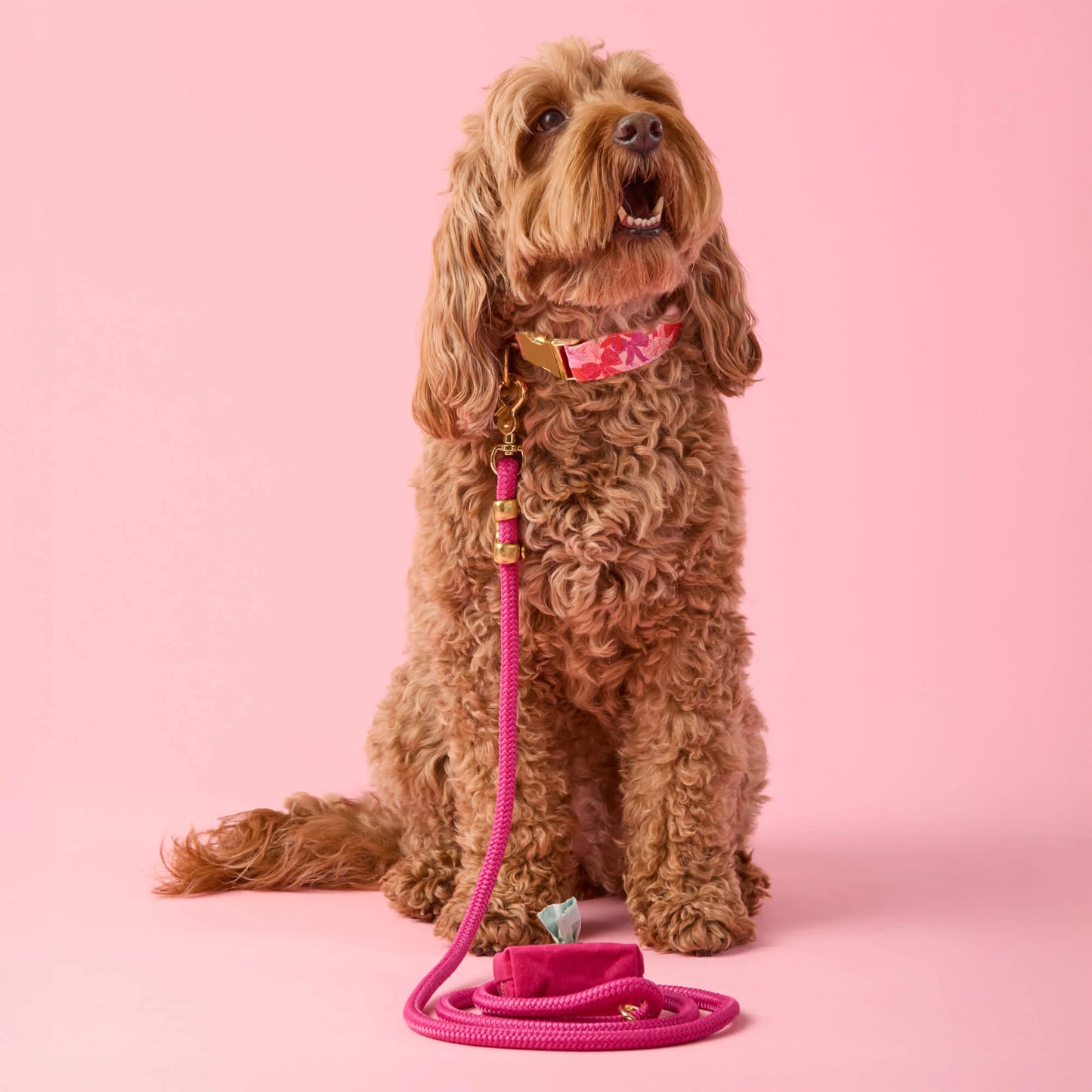 Hot Pink Marine Rope Dog Leash by The Foggy Dog