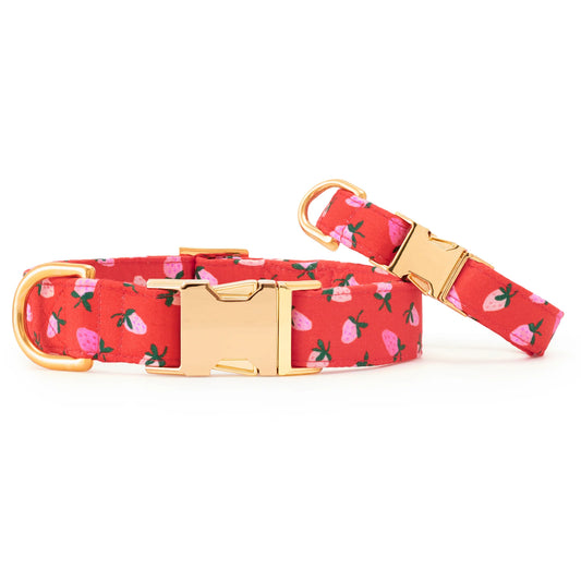 Berry Sweet Dog Collar by The Foggy Dog