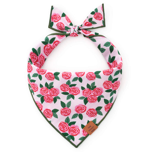 Rosette Dog Bandana by The Foggy Dog