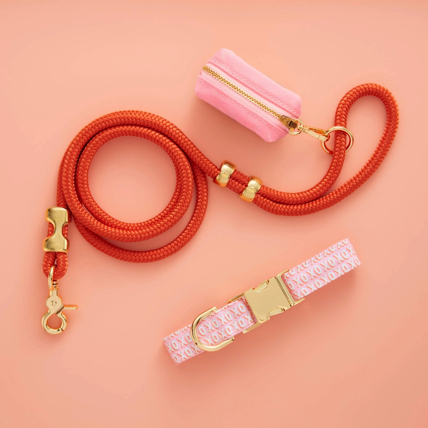 Cider Marine Rope Dog Leash by The Foggy Dog