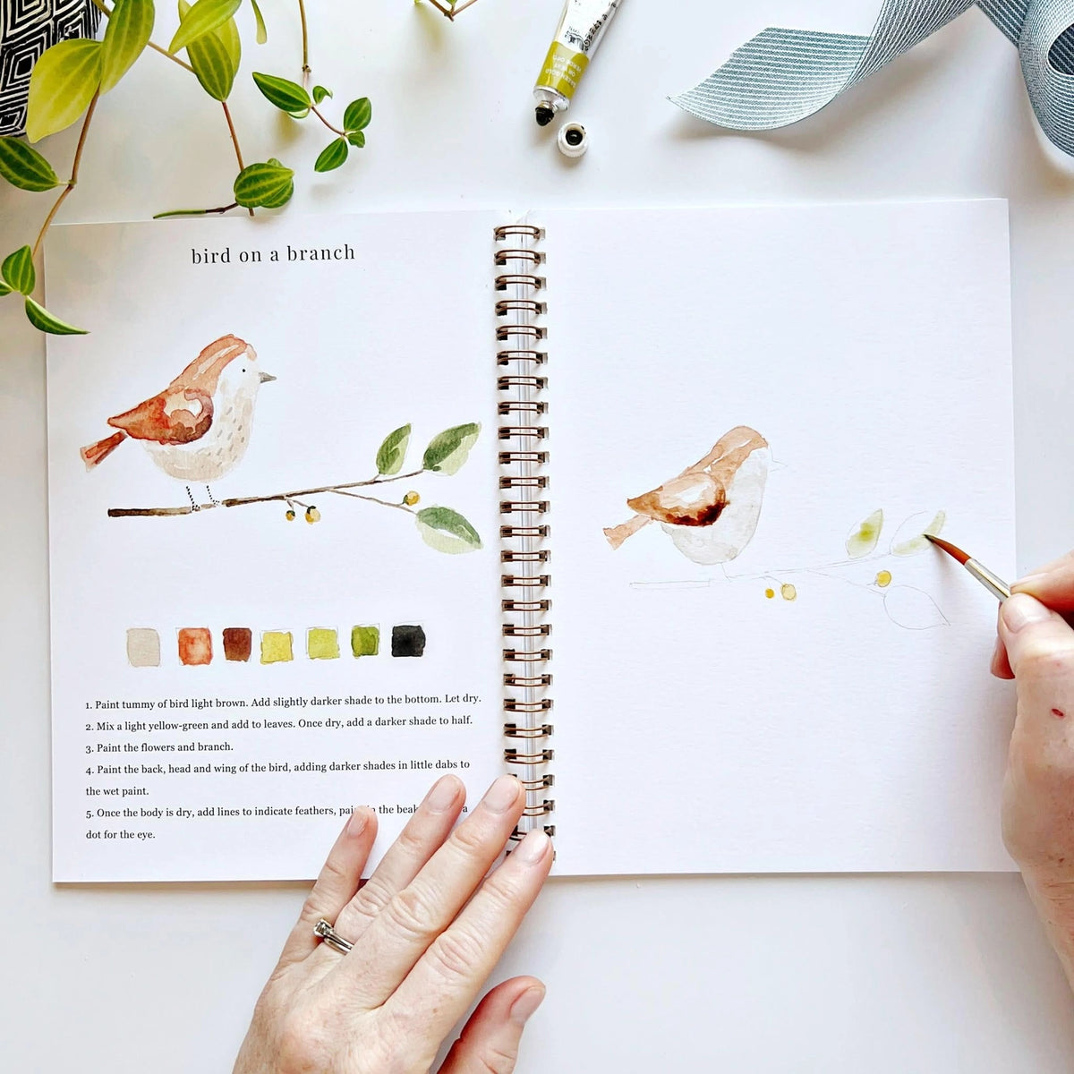 Animals Watercolor Workbook by Emily Lex Studio