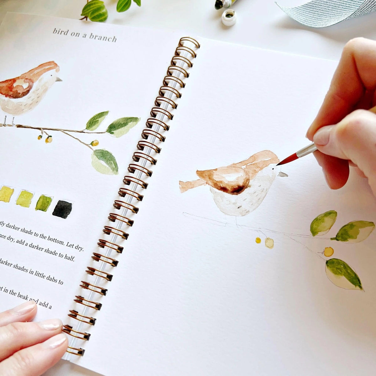 Animals Watercolor Workbook by Emily Lex Studio