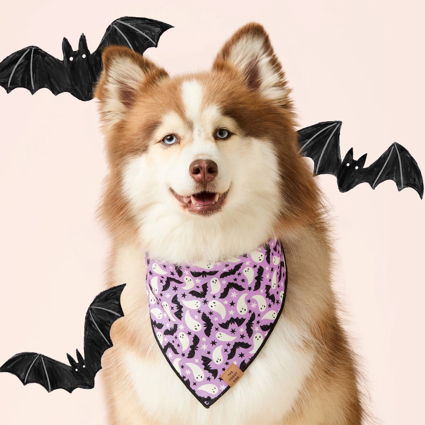 Spooky Season Reversible & Glow-in-the-Dark Dog Bandana by The Foggy Dog