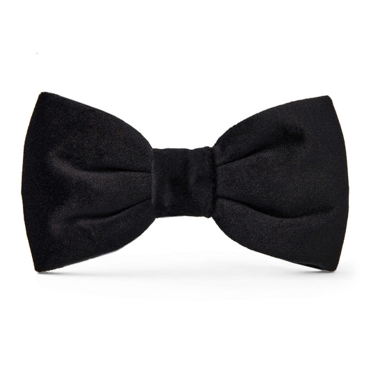 Black Velvet Dog Bow Tie by The Foggy Dog