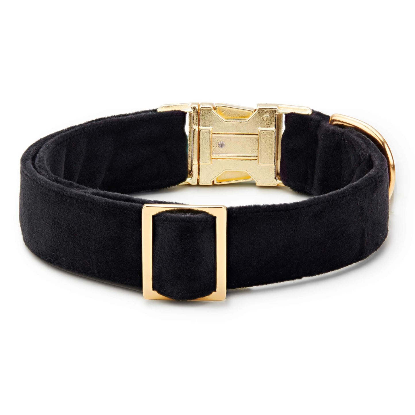 Black Velvet Dog Collar by The Foggy Dog