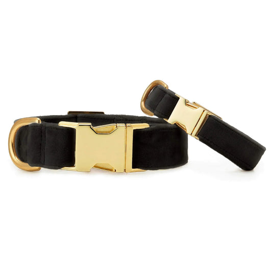 Black Velvet Dog Collar by The Foggy Dog