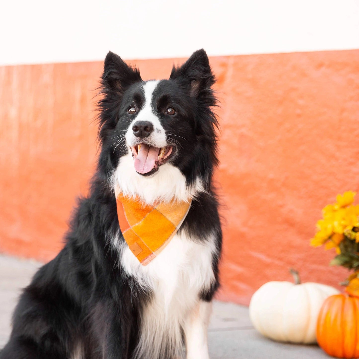 Pumpkin Spice Plaid Flannel Dog Bandana by The Foggy Dog