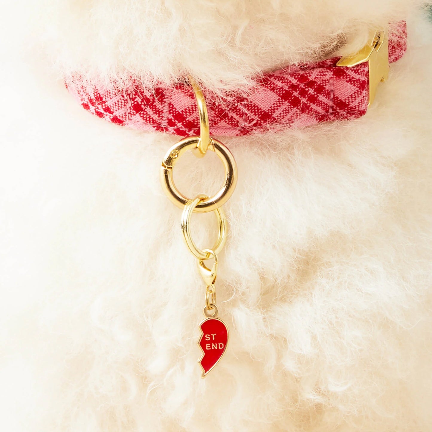 BFF Hearts Collar Charm Set by The Foggy Dog