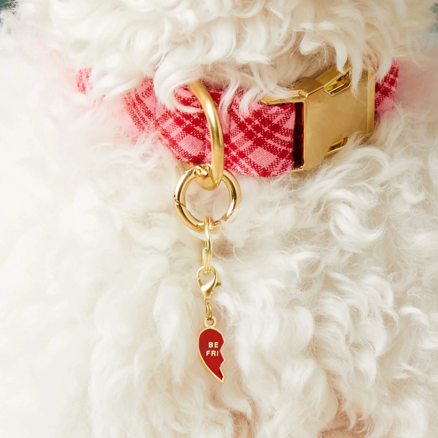 BFF Hearts Collar Charm Set by The Foggy Dog