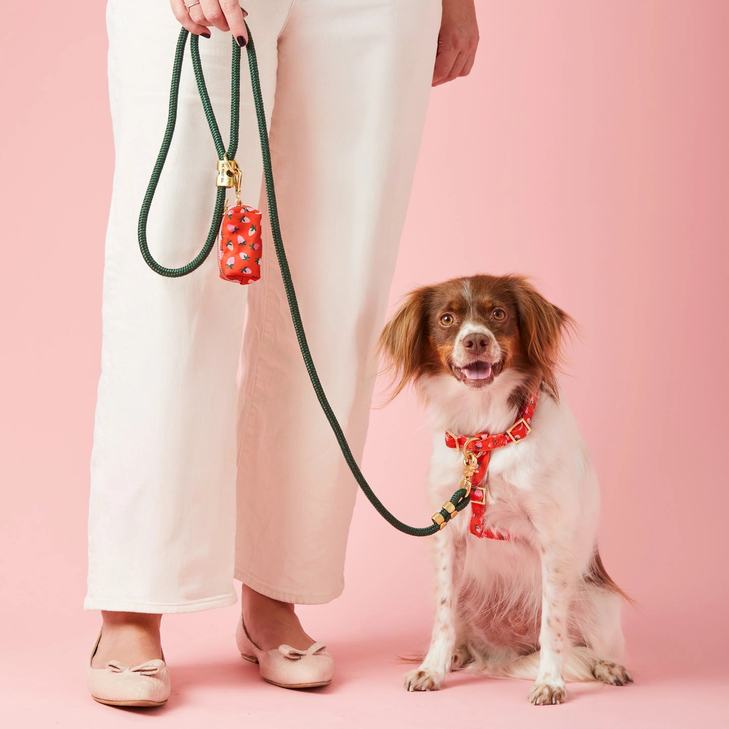 Berry Sweet Waste Bag Holder by The Foggy Dog