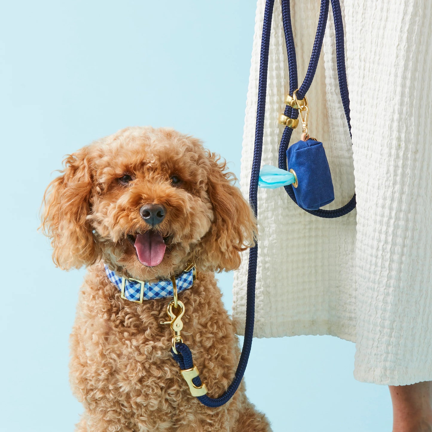 Ocean Marine Rope Dog Leash by The Foggy Dog