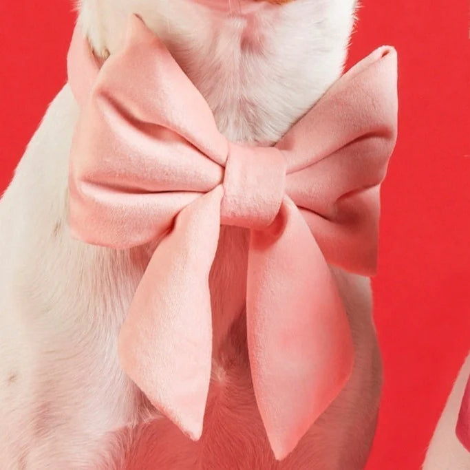 Blush Pink Velvet Lady Dog Bow by The Foggy Dog