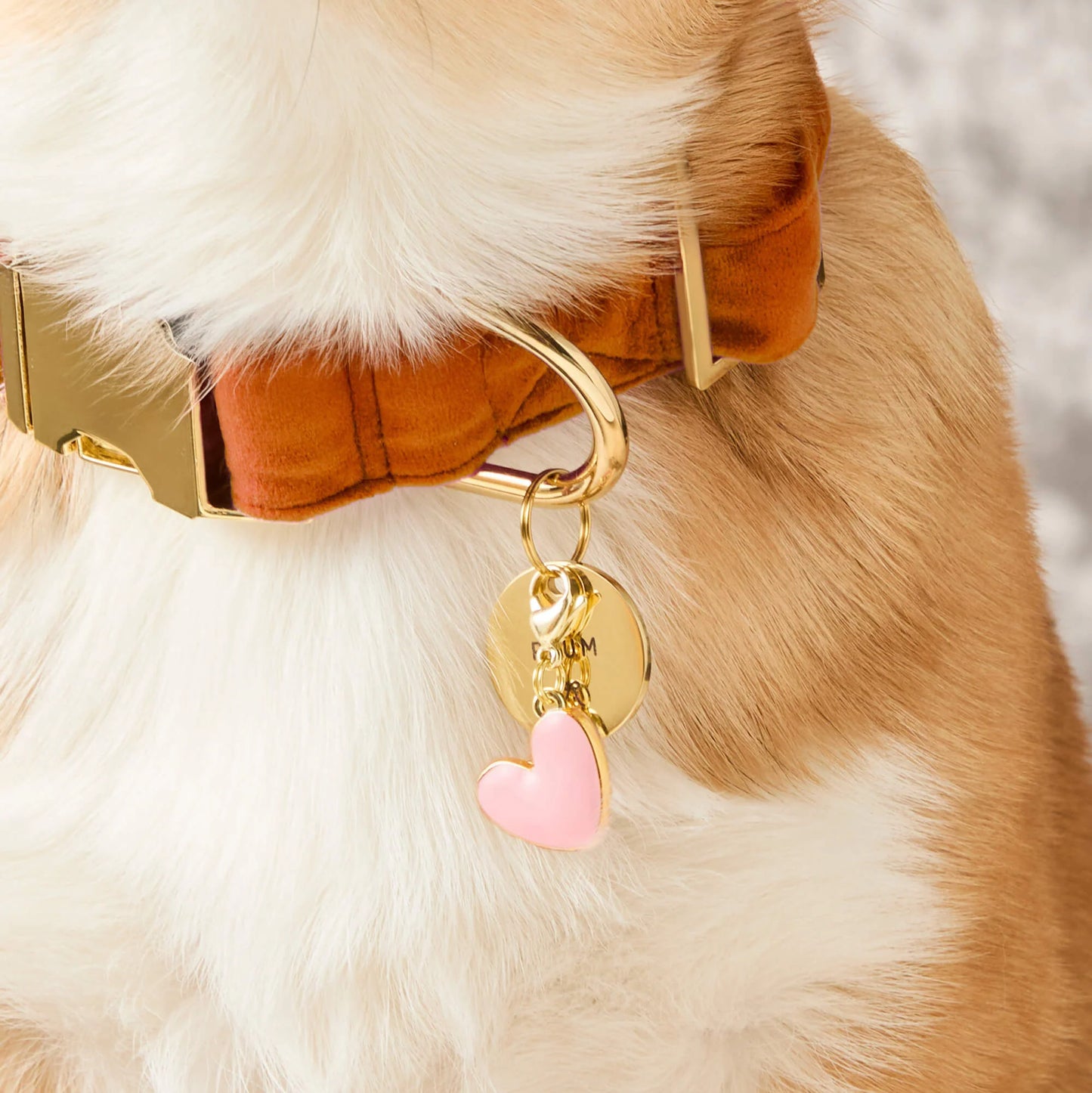 Pink Heart Dog Collar Charm by The Foggy Dog