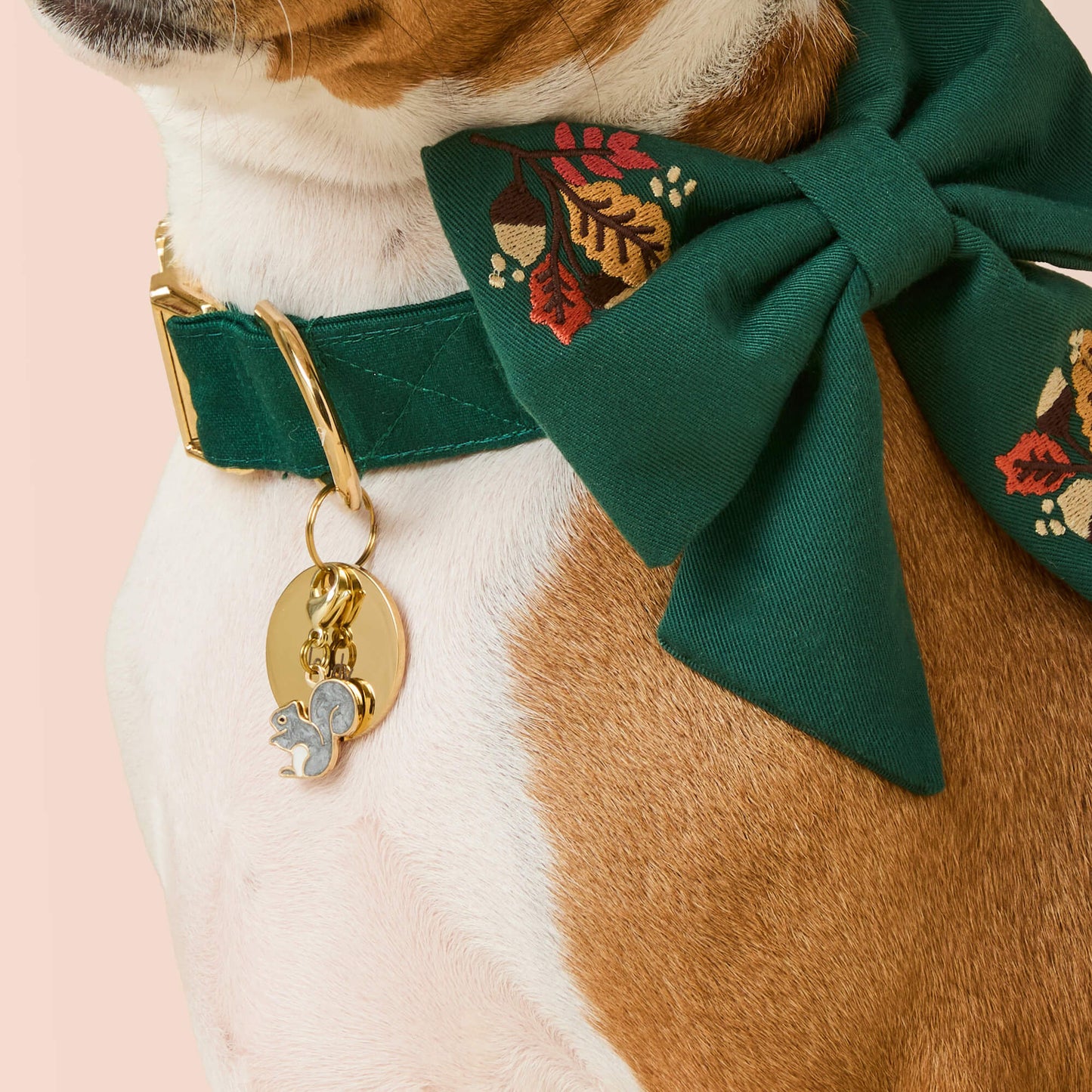 Squirrel Dog Collar Charm by The Foggy Dog