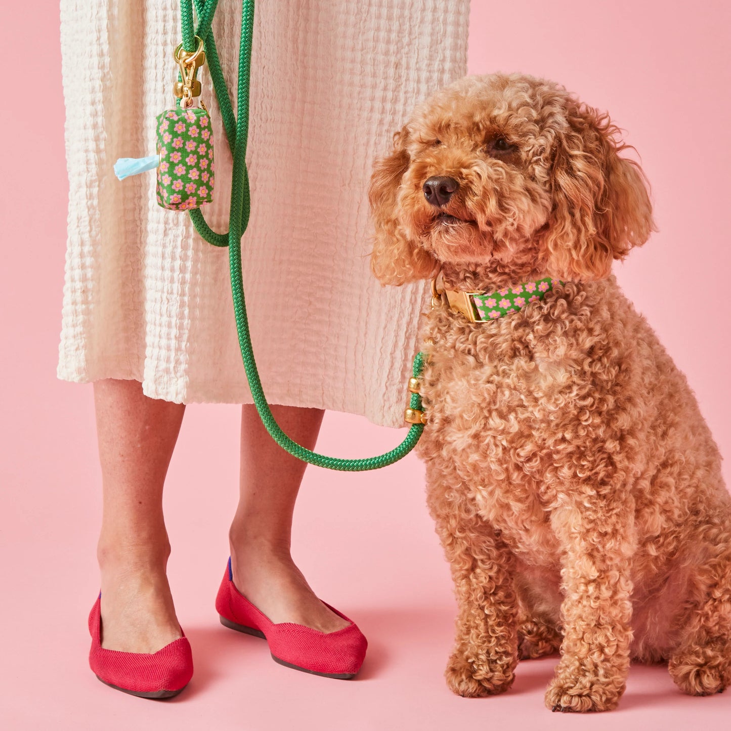 Grass Green Marine Rope Dog Leash by The Foggy Dog
