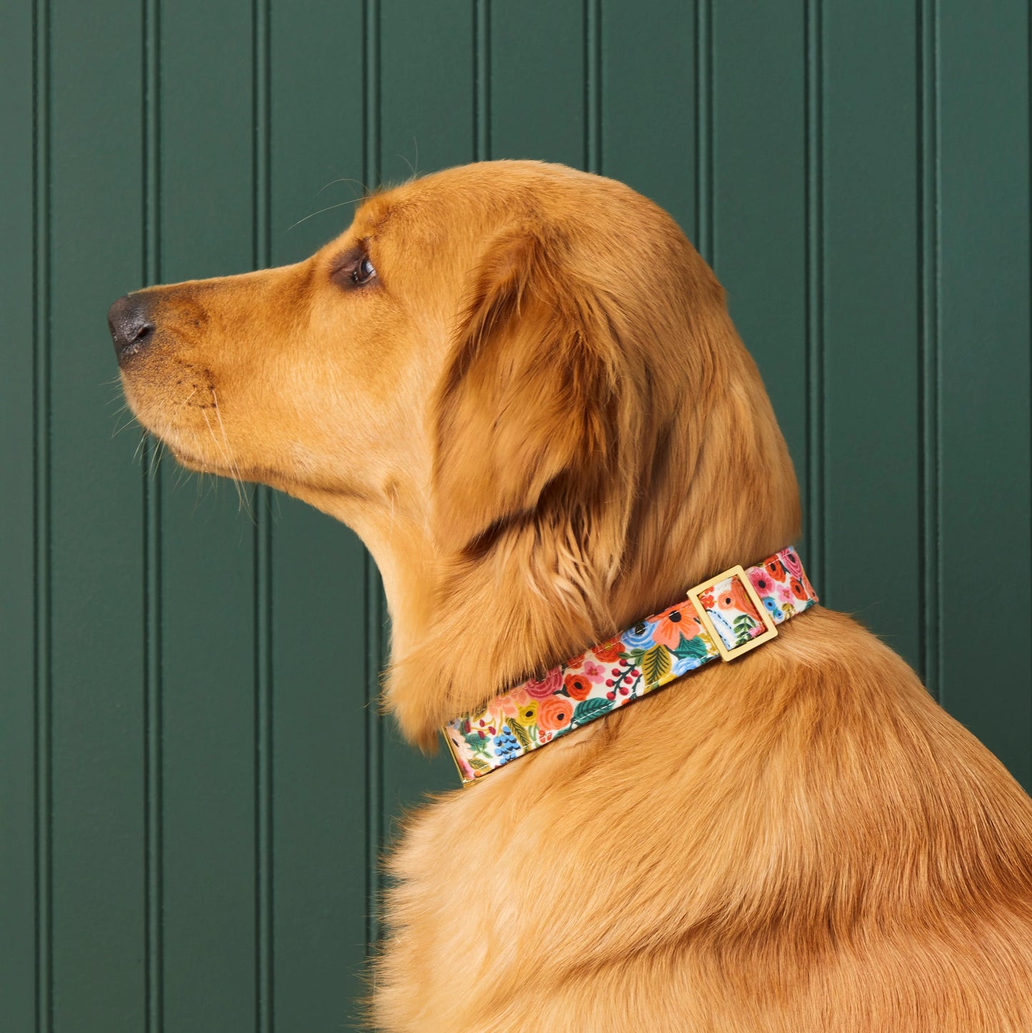 Garden Party Dog Collar by The Foggy Dog