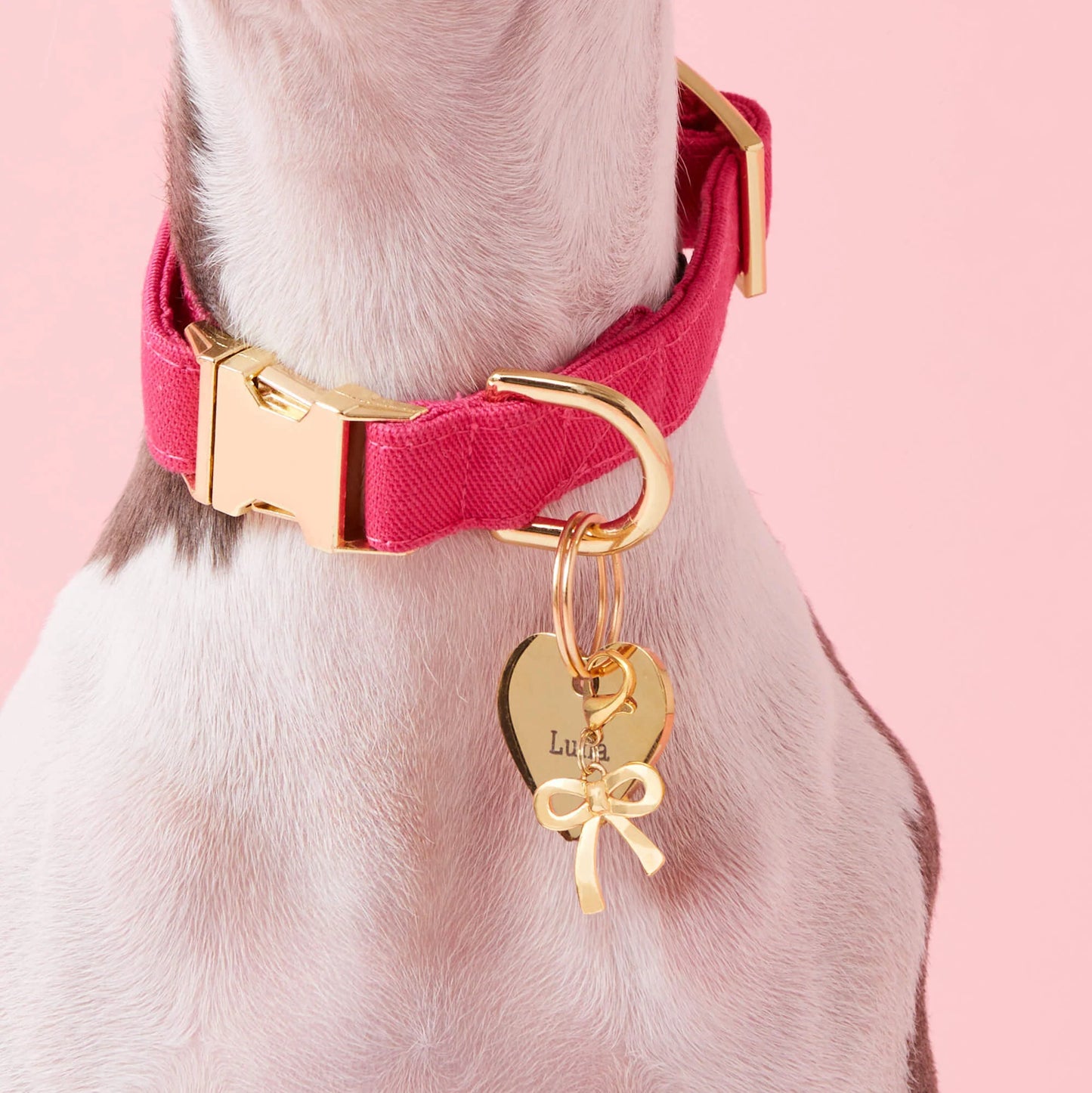 Gold Bow Dog Collar Charm by The Foggy Dog