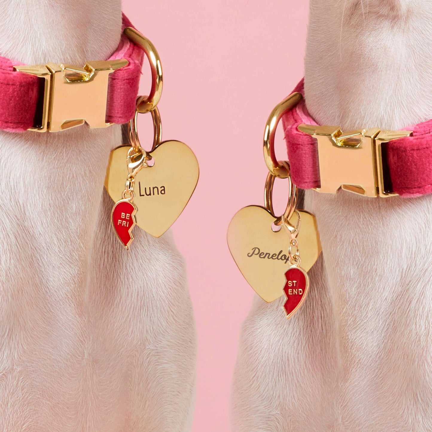 BFF Hearts Collar Charm Set by The Foggy Dog