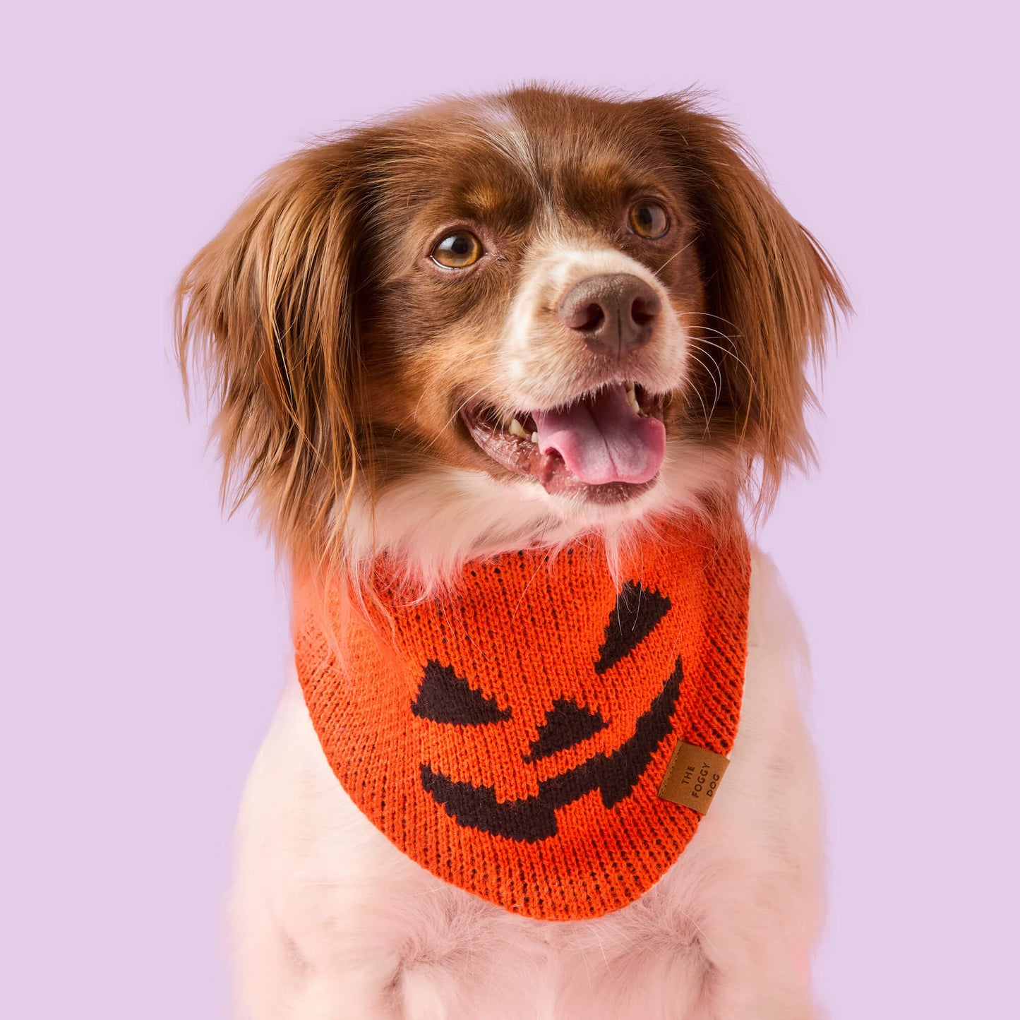 Jack-o’-Lantern Knit Dog Bandana by The Foggy Dog