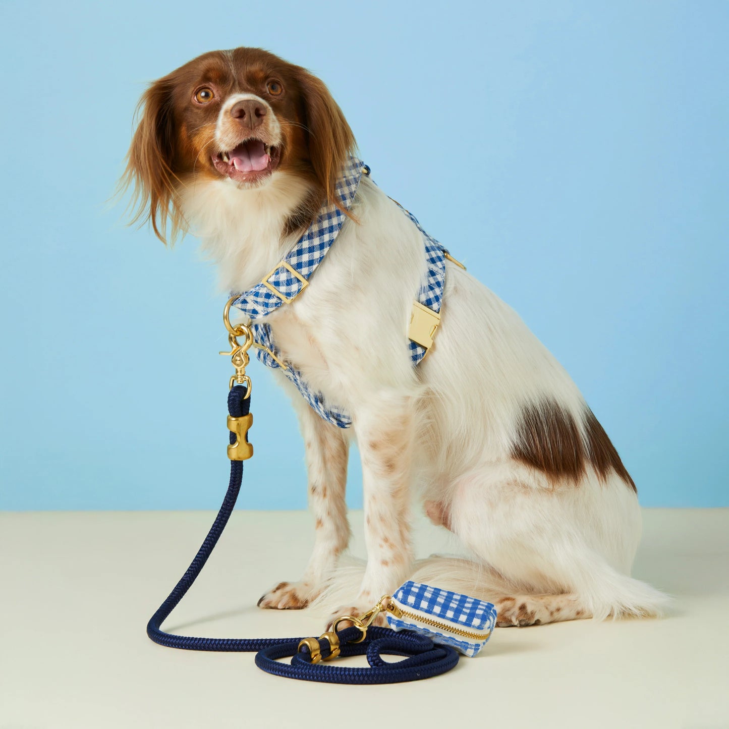 Lake Blue Gingham Waste Bag Holder by The Foggy Dog