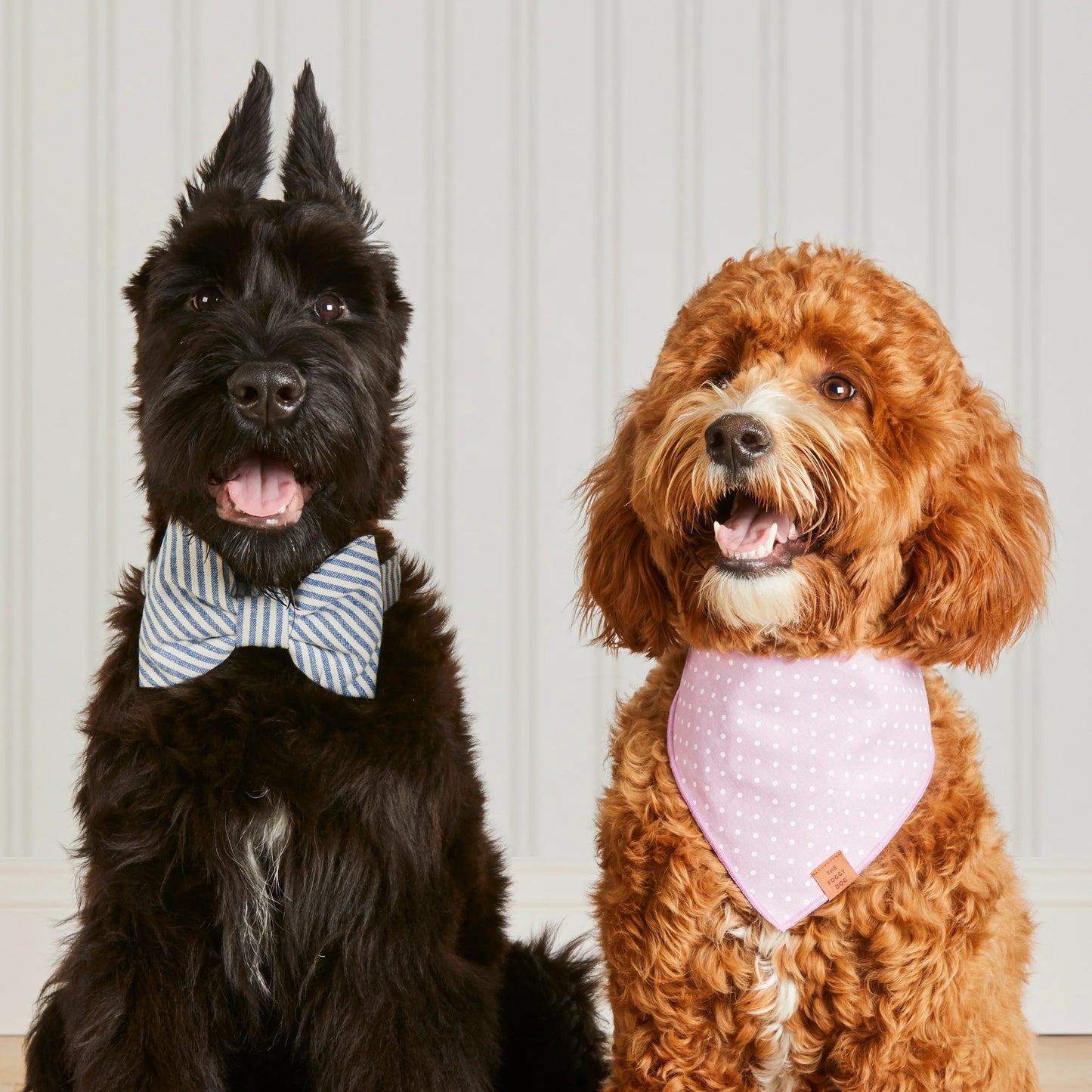 Lake Blue Stripe Dog Bow Tie by The Foggy Dog