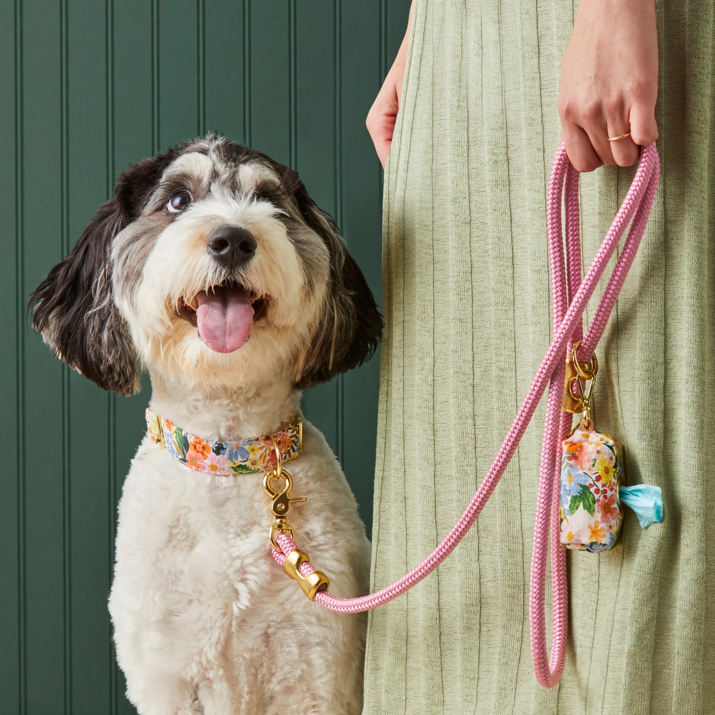 Orchid Marine Rope Dog Leash by The Foggy Dog