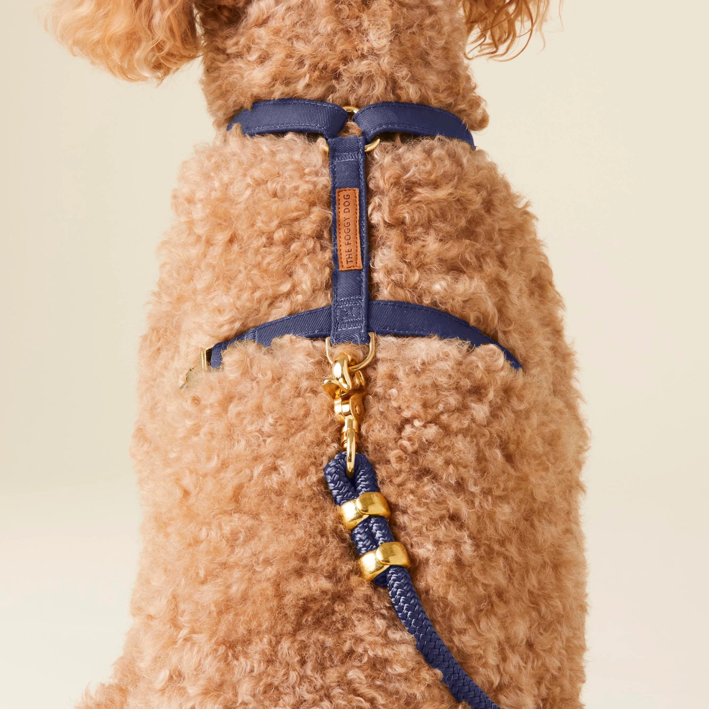 Ocean Dog Harness by The Foggy Dog