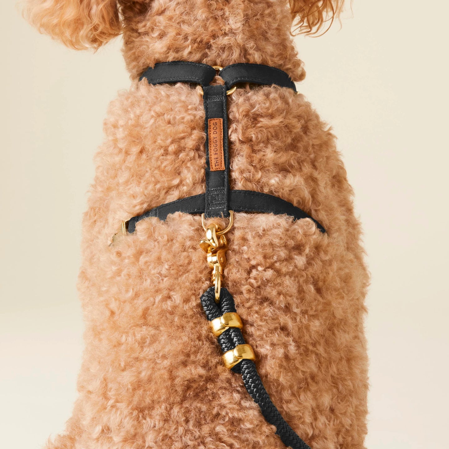 Onyx Dog Harness by The Foggy Dog