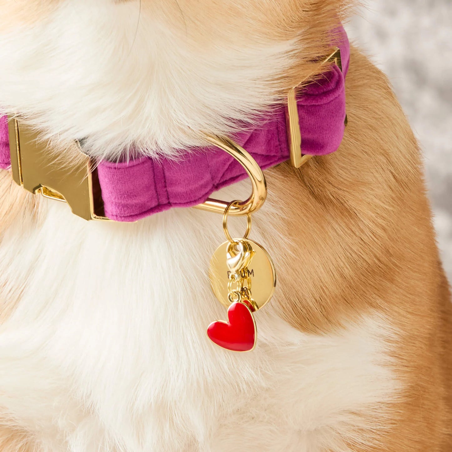 Red Heart Dog Collar Charm by The Foggy Dog