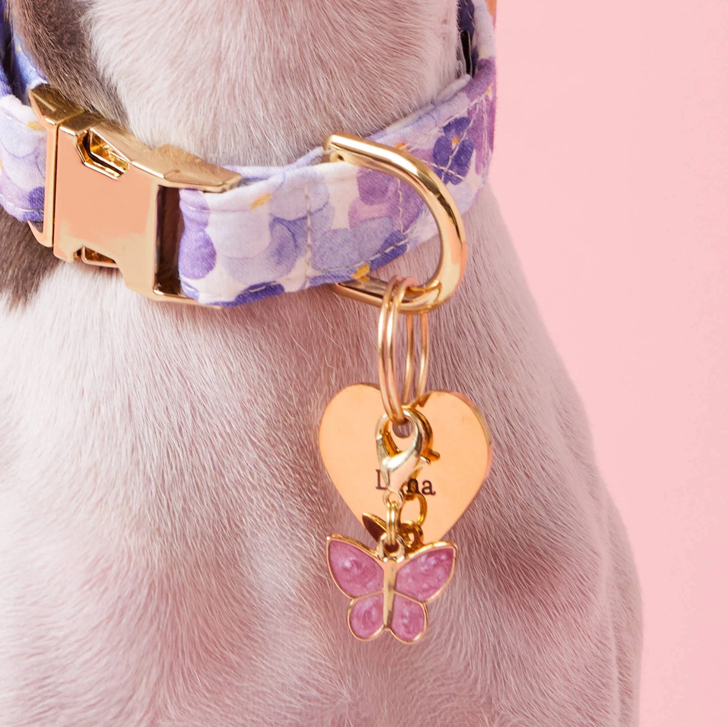 Pressed Pansies Dog Collar by The Foggy Dog