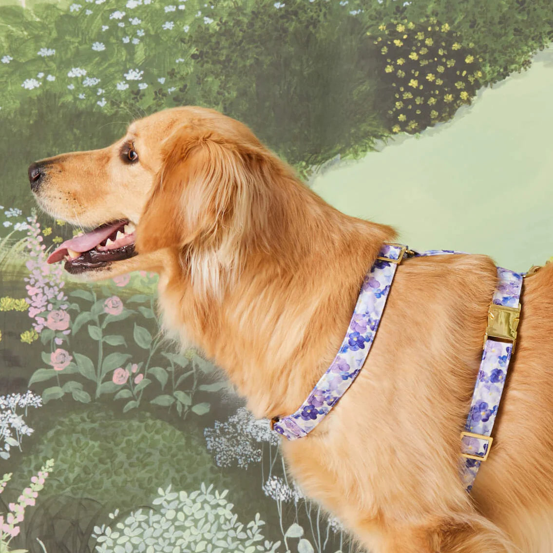 Pressed Pansies Dog Harness by The Foggy Dog