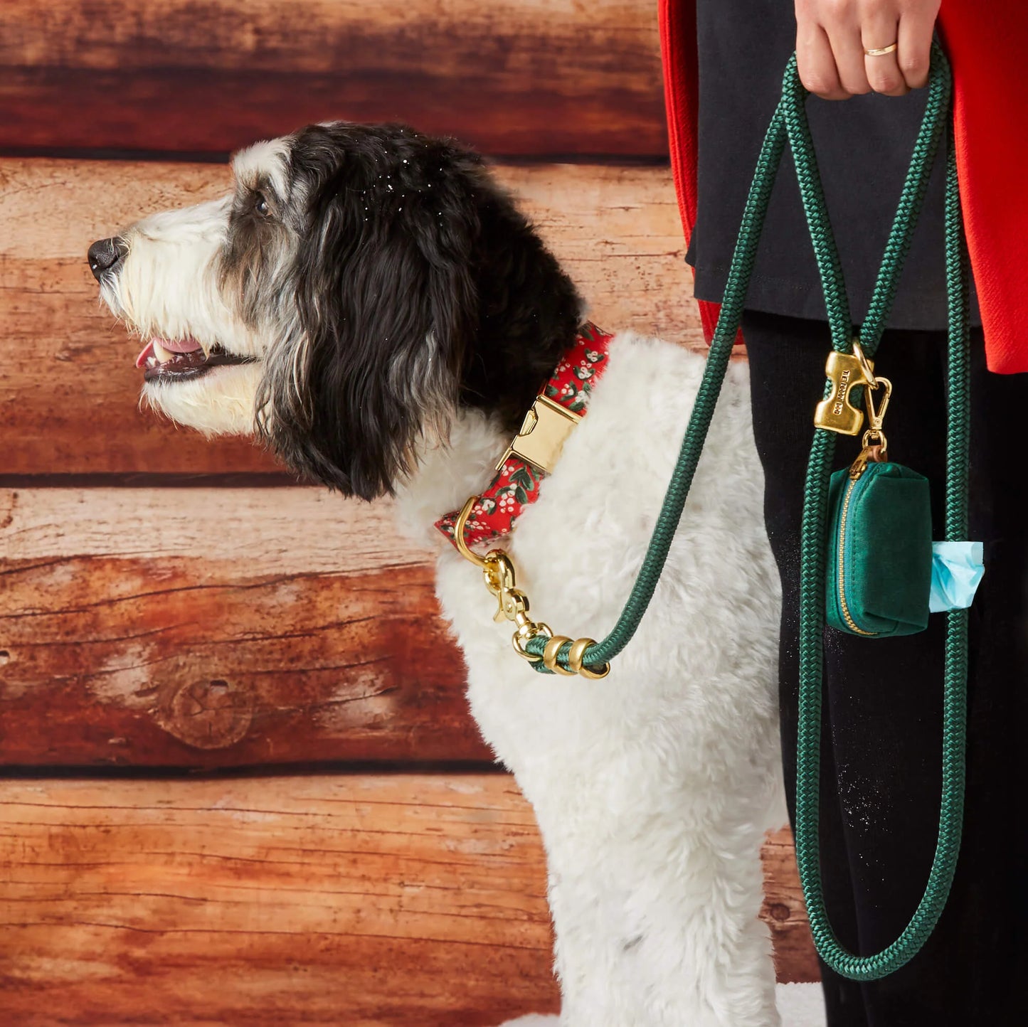 Evergreen Marine Rope Dog Leash by The Foggy Dog
