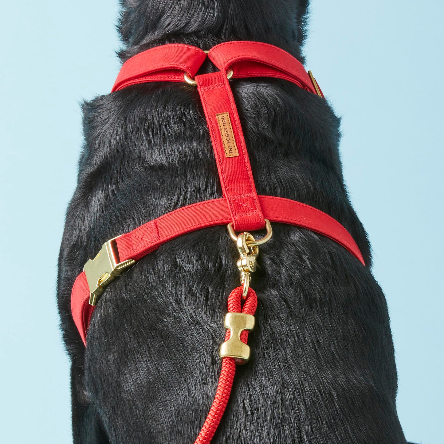 Ruby Dog Harness by The Foggy Dog