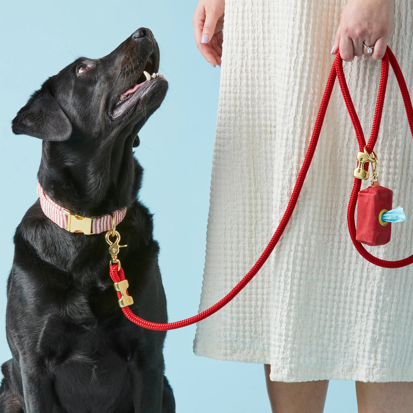 Ruby Waxed Canvas Waste Bag Holder by The Foggy Dog