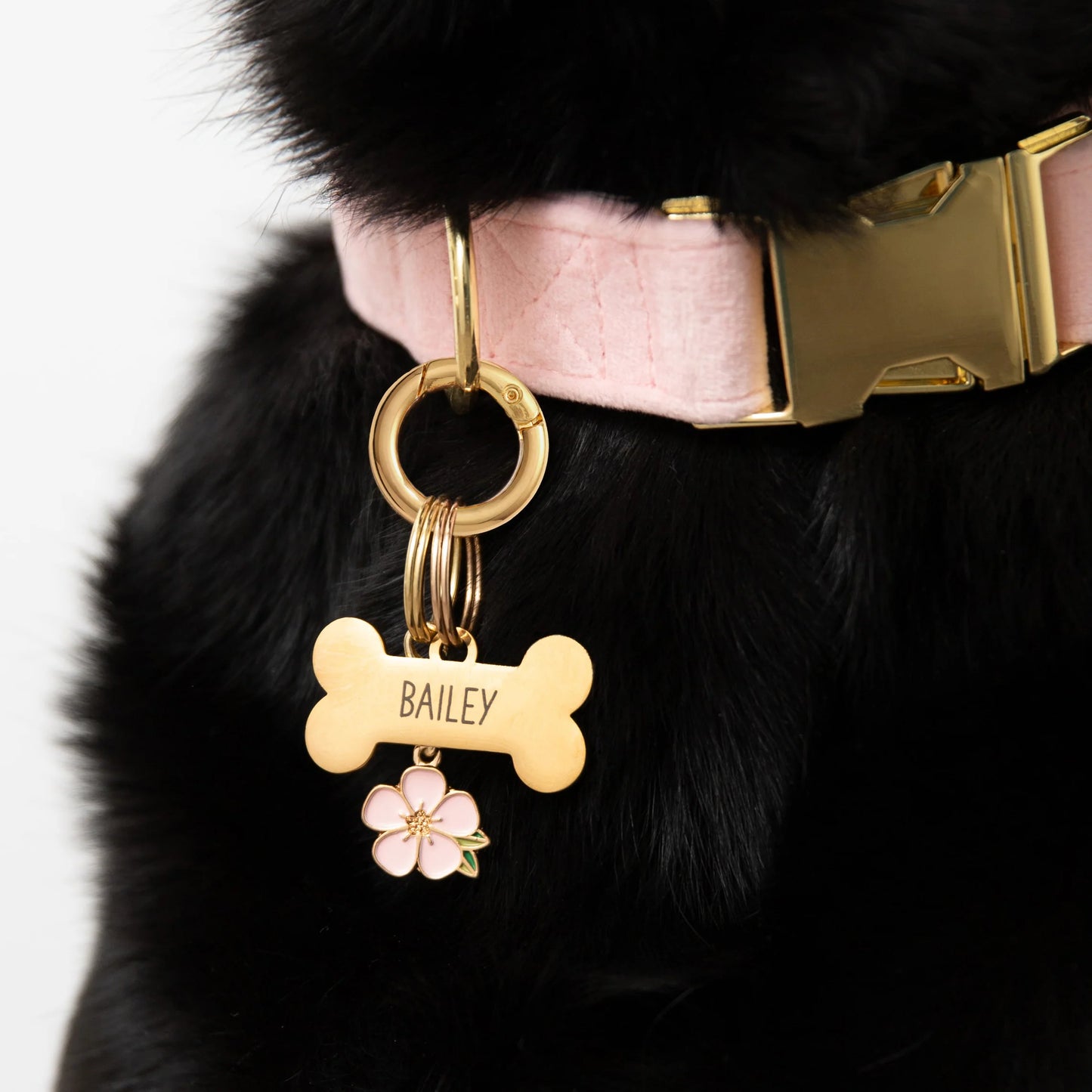 Sakura Blossom Dog Collar Charm by The Foggy Dog