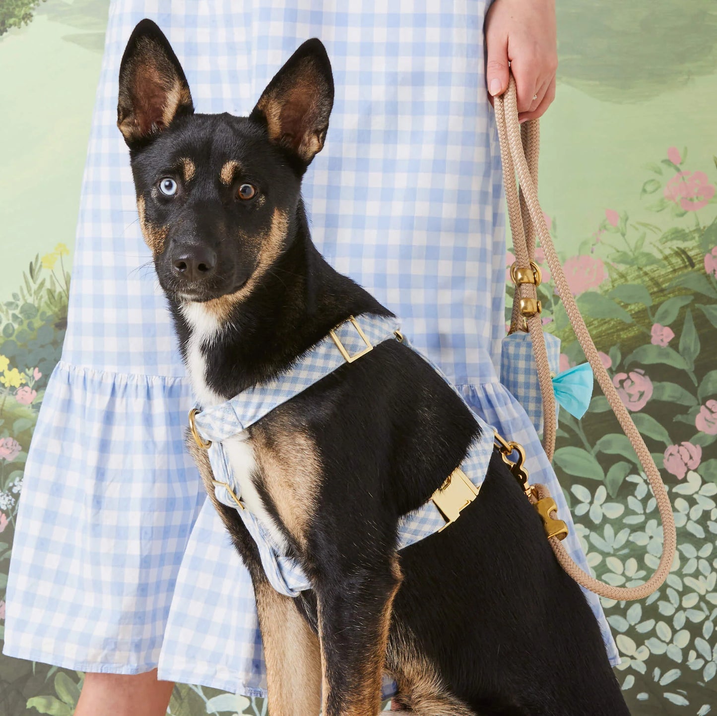 Flax Marine Rope Dog Leash by The Foggy Dog