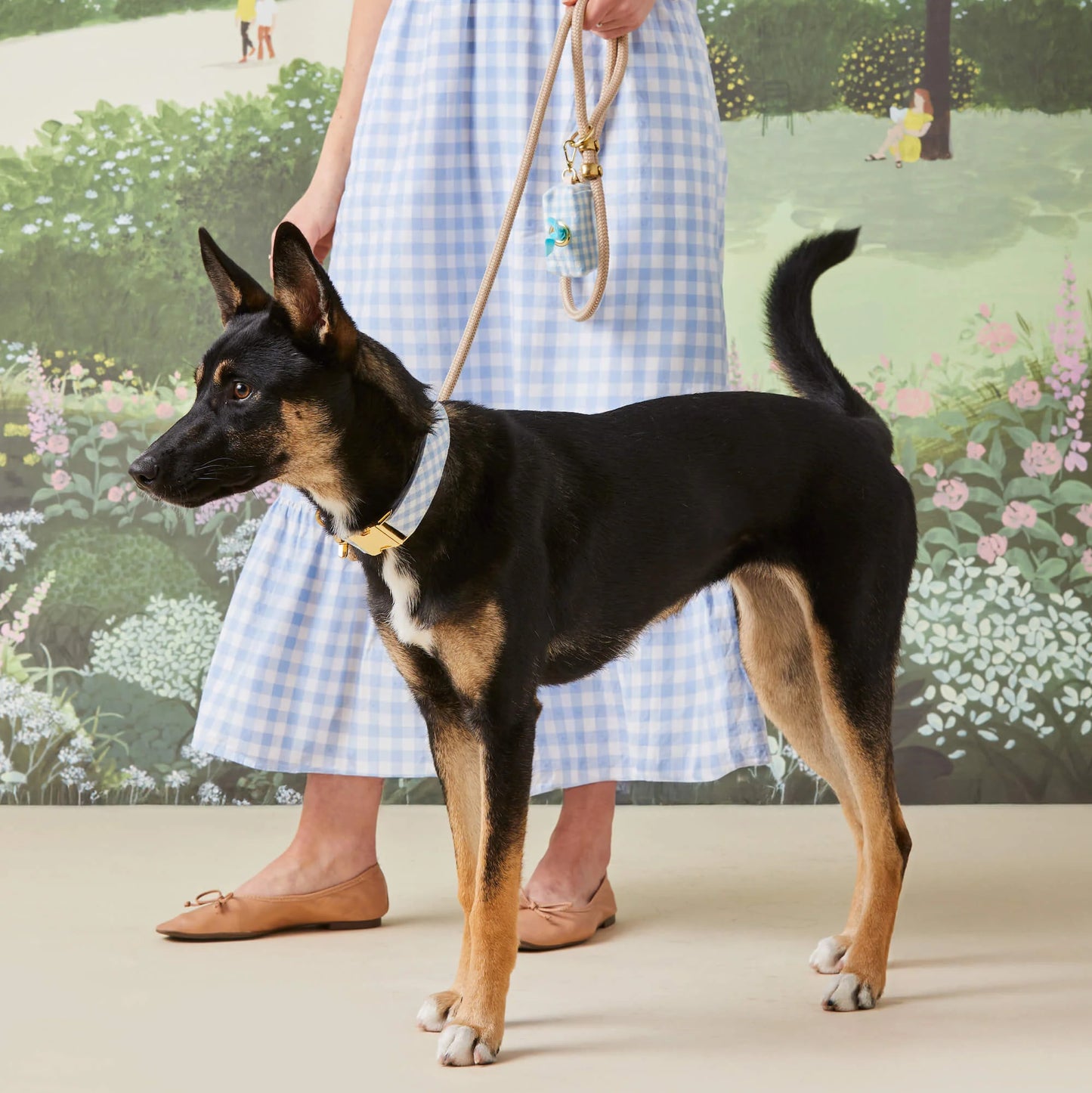 Flax Marine Rope Dog Leash by The Foggy Dog