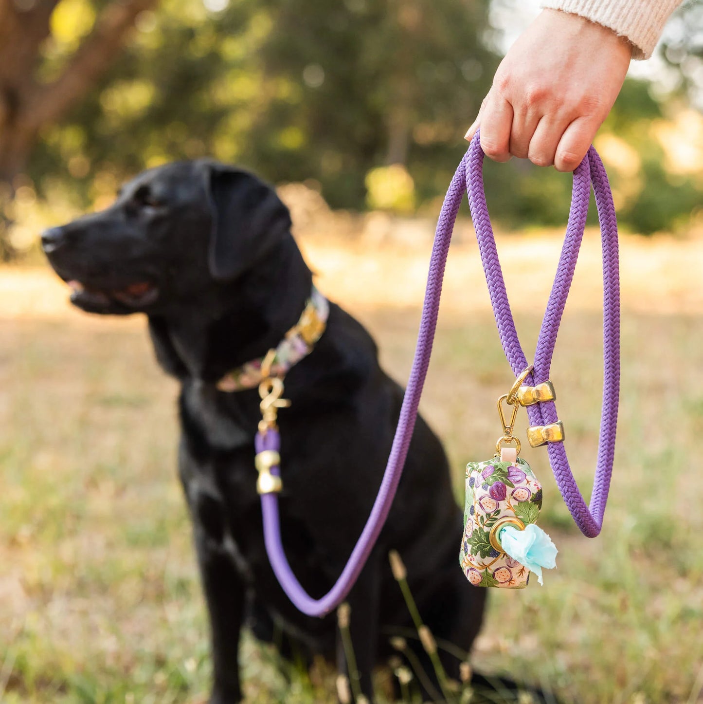 Violet Marine Rope Dog Leash by The Foggy Dog