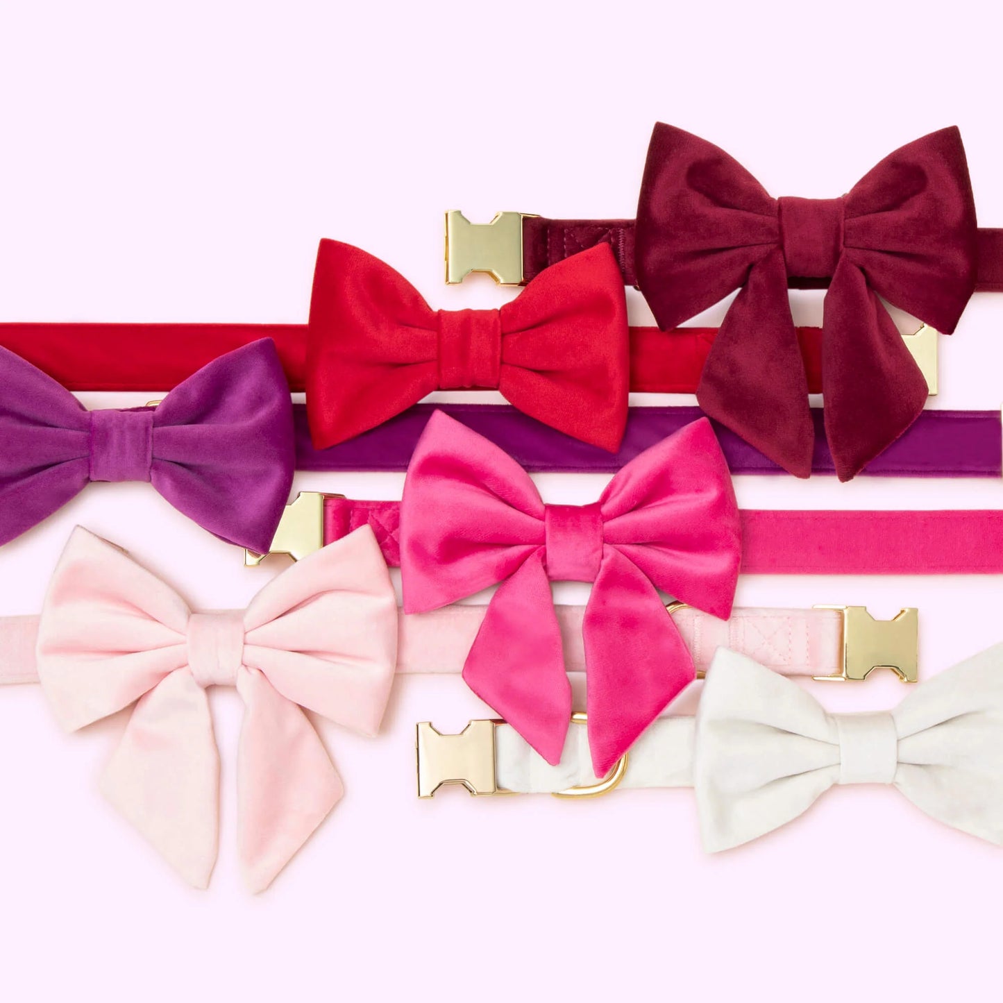 Blush Pink Velvet Lady Dog Bow by The Foggy Dog