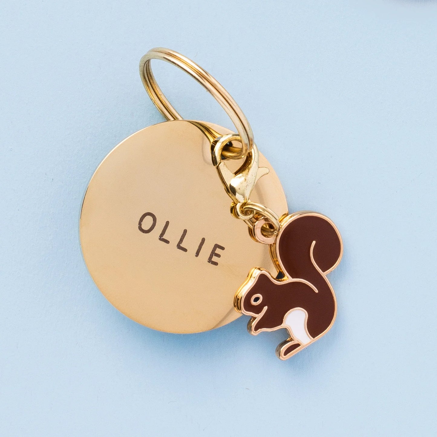 Squirrel Dog Collar Charm by The Foggy Dog